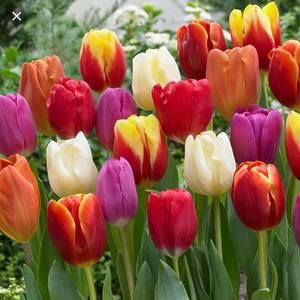 Meet your Posher, Edith